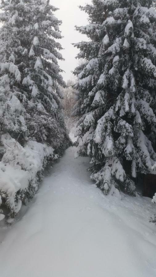 Chata Linia Kokava nad Rimavicou ภายนอก รูปภาพ